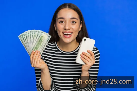加拿大28光学干涉仪计算校验图解